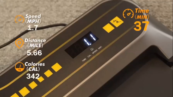 Dog Cat Treadmill Pacer Training for Small Medium Dogs