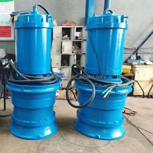 Submersible Axial-Flow Pump 22kw Hw Large Flow Horizontal Agricultural Centrifugal Water Pump for Mud - Product Image 3