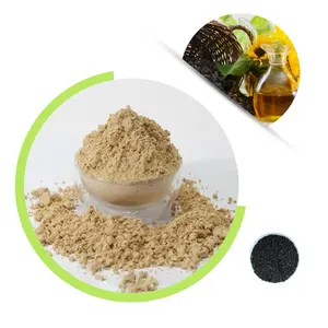 Hot Selling Products 2023 Sunflower Protein Concentrate Powder The Best Price Of Sunflower Seed Protein Powder