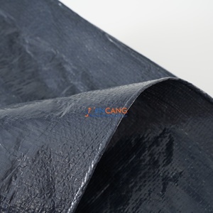 Lona de Plástico PE de 180 g/m², Lona de Plástico para Cubrir Autos, Lona de Polietileno Verde - Product Image 4