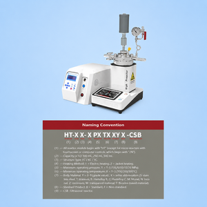 Réacteur de type spécial HT-CSB <span class=keywords><strong>à</strong></span> haute pression 12,5 MPa en alliage de nickel Inco avec manomètre et disque de <span class=keywords><strong>rupture</strong></span> - Product Image 6