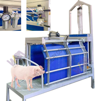 Boîte de contention pour porcs avec électrochoc électrique portatif, pompe à moteur PLC, équipement compact d'étourdissement du bétail