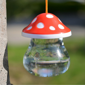 Vente chaude Aquariums Équipements & Accessoires Champignon dessin animé forme <span class=keywords><strong>poisson</strong></span> <span class=keywords><strong>rouge</strong></span> tortue bouteille - Product Image 3