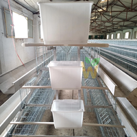 Cage à poules pondeuses de type A, anti-rouille, résistante à la chaleur, capacité 2000 poules pondeuses, équipement avicole durable RTL pour les fermes africaines