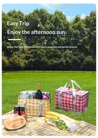 Panier de pique-nique pliable à motif à carreaux pour l'extérieur, avec film en aluminium, imperméable, portable, boîte isotherme 15L