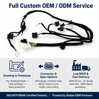Kabel Harness Excavator 24V Kustom Rangkaian Kabel Tegangan Rendah OEM ODM Produsen Bersertifikasi IATF16949