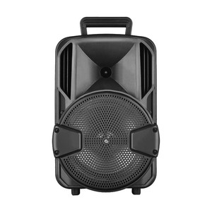 Altavoz Amplificador de Karaoke Portátil Recargable con Subwoofer 3D de 8 Pulgadas, Precio de Fábrica Más Bajo - Product Image 1
