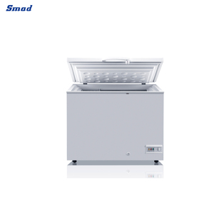 Congélateur coffre vertical commercial et domestique Smad 200L pour fabricants DSC-215E - Product Image 5