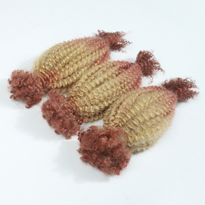 Cầu Vồng Màu Sắc 100% Phần Mở Rộng Tóc Người Bán Buôn Afro Kinky Xoăn 4A 4C Bó Bện Xoắn Chất Lượng Cao Số Lượng Lớn Tóc Con Người - Product Image 2