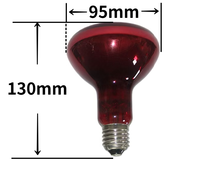 Wholesale 100W R95 Mini Infrared Incandescent Heat Lamp Therapeutic IR Light Bulb E26/E27 Base - Zon