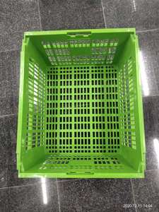 Domuz çiftliği için PP malzeme piglet cratet. Piglet tedavi arabası plastik sepet için 60L yeşil piglet kutusu - Product Image 2