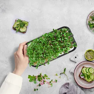 Siêu Mạnh Mẽ Tự Tưới Nước Thủy Canh Phát Triển Mat Pad Microgreen Khay Với Lỗ