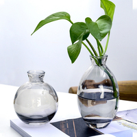 Ensemble mini vase en verre 3pcs vase hydroponique transparent de luxe doré ins vent décoration de table