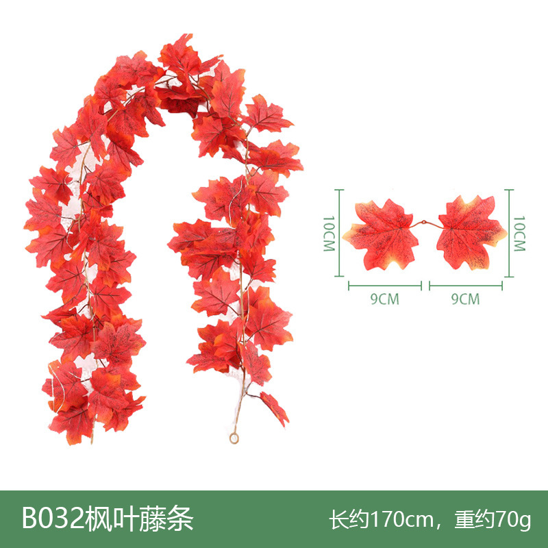 B032 Vigne d'érable