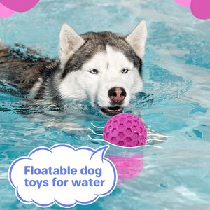 Pelota de Goma Indestructible de Lujo Personalizada de Fábrica para Perros, Alivia la Ansiedad, Limpia los Dientes, Juguete Interactivo para Masticar para Mascotas - Product Image 4