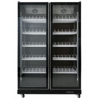 Réfrigérateur commercial à double porte pour boissons, vitrine verticale avec porte en verre pour boissons, vin, bière, bar, café, restaurant