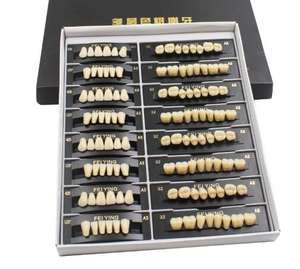 CE ISO fabbrica falsi denti di ricambio 2 strati 3 strati denti acrilici dentali dentiera denti artificiali - Product Image 2