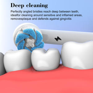 <span class=keywords><strong>Cabezales</strong></span> de repuesto EB60 de cerdas suaves con eliminación de placa para higiene bucal con patente - Product Image 2