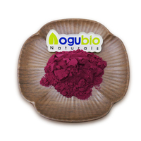 Poudre de baies de maqui lyophilisée biologique naturelle, extrait de plante naturelle de haute qualité, poudre de baies de maqui