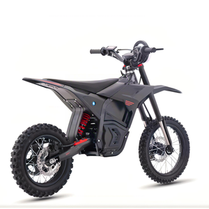 Envío Directo de Fábrica OEM, Motocicleta Eléctrica BEYAAN E, Batería de Litio de 60V 3500W/6000W, Carga de 150 kg, Llantas de 17 Pulgadas, Motocicleta Todoterreno D3PRO - Product Image 1