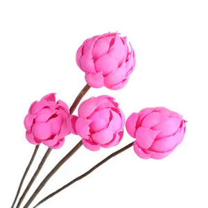 Newest Natural Beautiful Dried Flowers Lotus Lantern for Company Exhibits Car Exhibits and Home Decoration