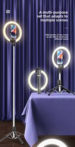 Vente en gros P220Q vente chaude 10 pouces LED lumière droite TikTok anneau lumière <span class=keywords><strong>lampe</strong></span> Selfie bâton pour photographie maquillage diffusion en direct - Product Image 5