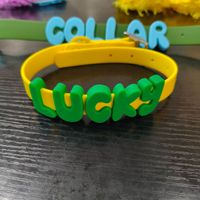 Wasserdichtes PVC-Hundehalsband mit Abnehmbaren 3D-Namensbuchstaben; Separat Erhältlich oder Als DIY Personalisiertes Set für Alle Hunderassen