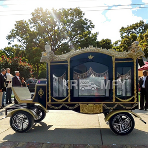 Coche fúnebre de estilo europeo vintage hecho a medida, coche fúnebre eléctrico de dos ruedas negro Popular - Product Image 1