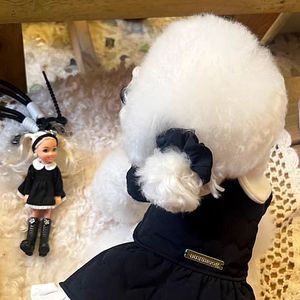 Gli amanti degli animali domestici con stampa dolce amore disegnano vestiti autunno inverno vestito <span class=keywords><strong>da</strong></span> <span class=keywords><strong>cane</strong></span> e gilet per cani - Product Image 2