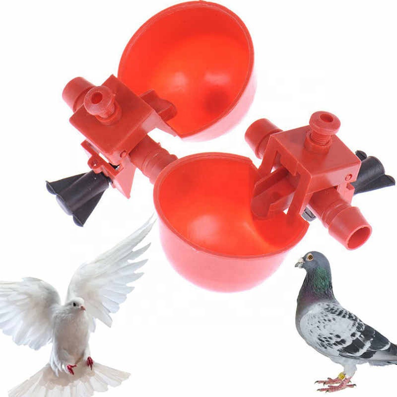 Red Waterer Animal Feeders Automatischer Vogelhaus futter Geflügel Hühner geflügel Trinker Wasser trinkbecher mit fester Schraubens chnalle