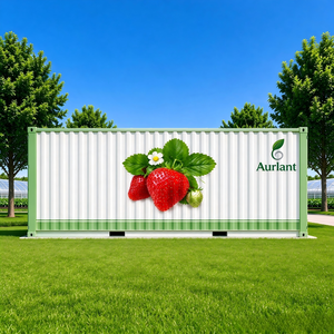 Skyplant - Gran Contenedor Hidropónico Vertical Comercial para Cultivo de Fresas, Unidad de Cultivo Interior con Regulación Inteligente del Clima - Product Image 1