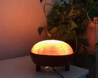 Lampe détoxante de pied de sel naturel pur de l'Himalaya avec diffuseur d'huile et meilleure lampe de sel à bas prix de parfum