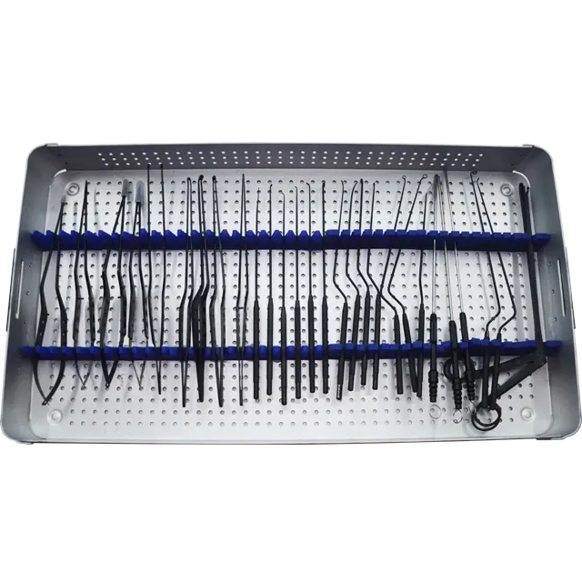 SSX-I Micro instruments chirurgicaux nauro/instruments chirurgicaux nauro/micro instruments