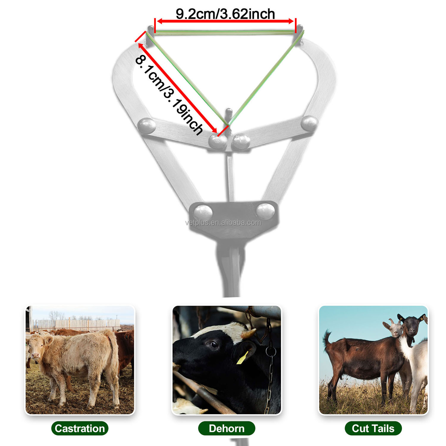 VET.PLUS Goat & Calf Castration Bander Kit – Includes Tool + 100 Elastic Rings For Lambs, Piglets & Livestock