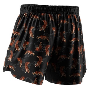 Vêtements de sport pour hommes de haute qualité, shorts et t-shirts ajustés pour la course à pied et la musculation, vente en gros de vêtements d'arts martiaux - Product Image 2