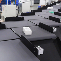 Machine de tri automatique de colis DWS statique, convoyeur à bande de type Z, capacité de 3000 PPH, contrôlée par PLC, compatible API pour la logistique