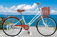 Bicicleta Cómoda NO.1