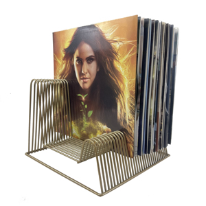Book Magazine Storage Rack Metal Wire Divider Vinyl Records Holder