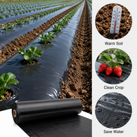 Rouleaux de film plastique LDPE noir robuste de 30 microns, 1,5 m x 500 m, stabilisé aux UV, pour couverture du sol destinée à la culture de tomates et de fraises