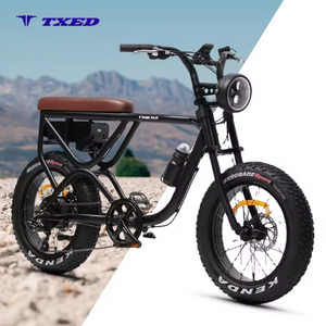 Bicicleta Eléctrica con Llantas Gruesas de 20 Pulgadas, Estilo Motocicleta, Diseño de Llantas Gruesas que Ofrece Tracción y Estabilidad Superiores - Product Image 1