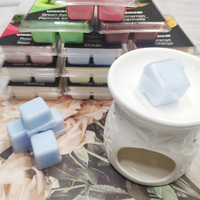 LITBRIGHT Cubes de cire parfumée personnalisés en forme de coquillages, 6 cellules, parfum intense, lavande, jasmin, mangue, baies, bois de santal