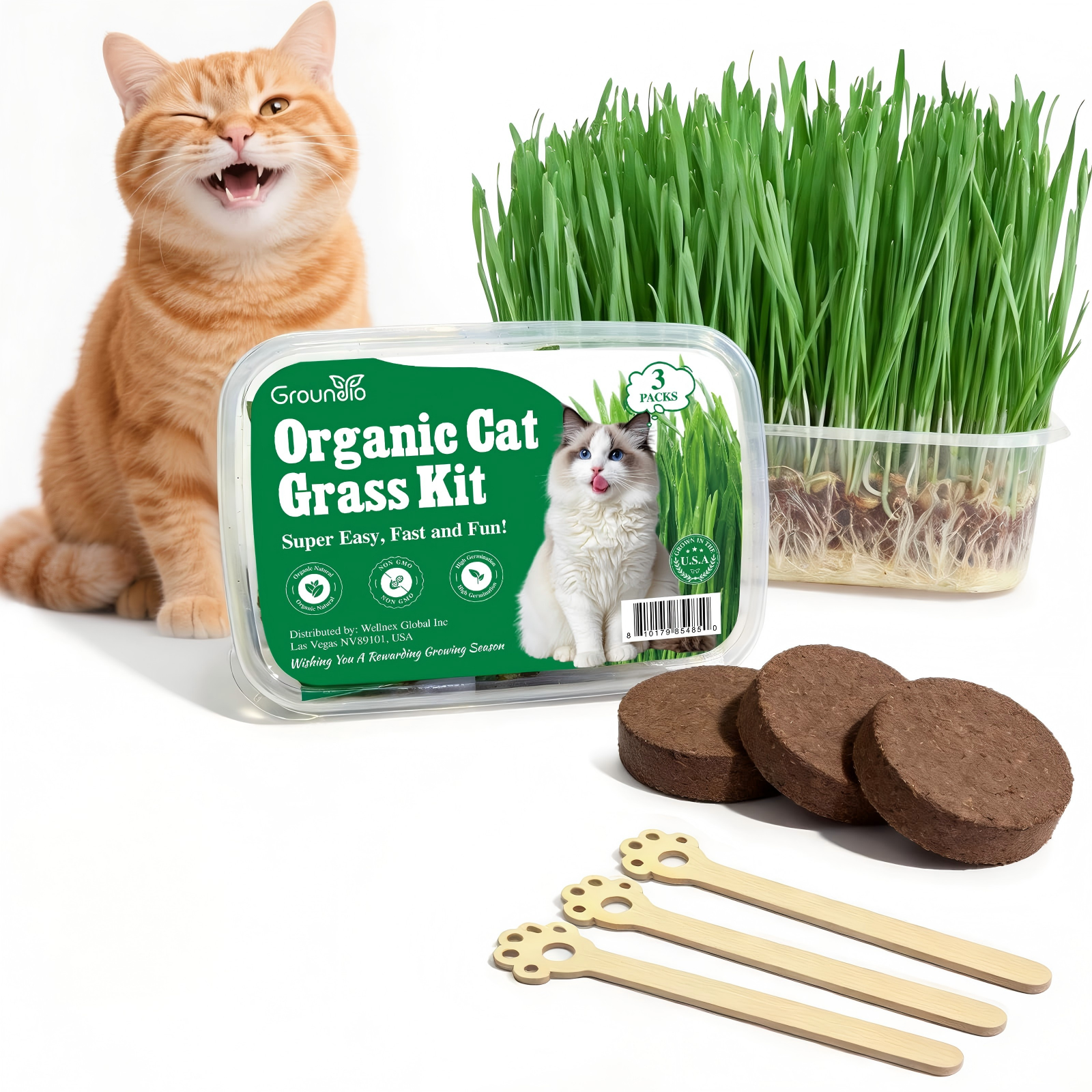 Kit de hierba para gatos