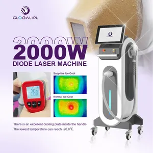 Vertical Type Most Effective Durable Beauty Salon Use Fast Diode Laser 808 Machine