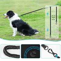 Laisse de luxe souple pour chien avec mousqueton pivotant, fils réfléchissants et poignée confortable pour la promenade et le camping