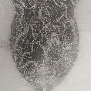 TSAUTOP diseños populares película de transferencia de agua película de inmersión hidrográfica - Product Image 1