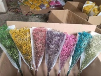 F-1223 Bunga Babysbreath Kering Grosir, Bunga Kering untuk Pernikahan