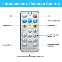 Tira de Luces LED Solares con Control Remoto, 8 Modos, Regulable, Temporizador, IP65 Impermeable, Recargable por USB, 5m-52m, 2700K-6000K, RGB, para Exteriores y Patios