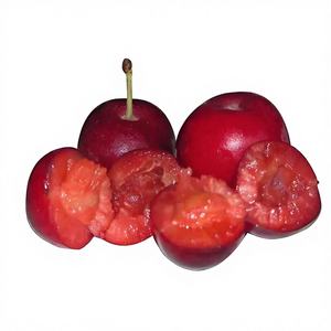 Extracto de Frutos de Prunus Humilis en Polvo de Alta Calidad y Alto Contenido 10:1, Polvo Soluble en Agua de Prunus Humilis, Grado Alimenticio - Product Image 3