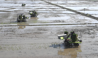 Machine de repiquage à haute efficacité 12.8HP 2ZGQ-825 transplanteur de semis de riz en vente