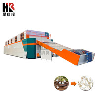Industriële Doorlopende Transportband Gaasbanddroger Met Plc & Motor Voor Voedselverwerking Aardappel/Cassave Chips Drogen Energiebesparing